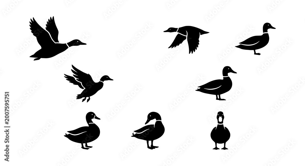 Fototapeta premium silhouette set: black birds on white background including flying and standing ducks & geese