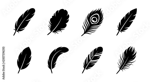 Foto Elegant Feather Silhouettes Collection, Diverse Avian Plumage Icons, Black and W