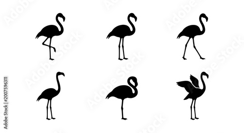 Photos Flamingo Silhouettes Collection, Six Tropical Bird Poses, Elegant Wildlife Vecto
