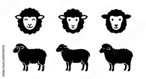 Schilderij op canvas Black Sheep Icons, Vector Set: Farm Animal Faces and Full Body Silhouettes, Simp