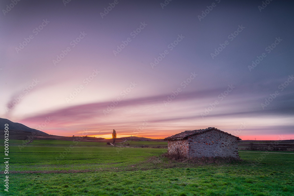 Obraz premium Rustic stone hut in a green cereal field of Palencia at sunrise with a dramatic purple and orange sky over the rural landscape of Castilla y Leon