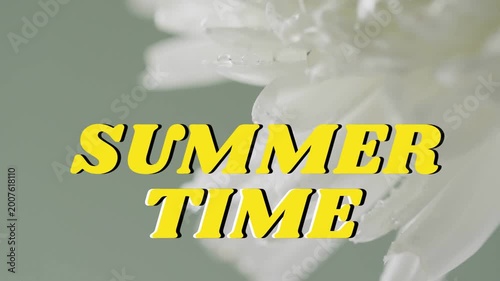 SUMMER TIME title appearing over daisy, causing petals shifting and dew clarifying for branding