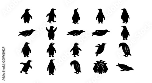 Fotografie Penguin Silhouettes Collection, Diverse Poses Vector Icons, Antarctic Wildlife G