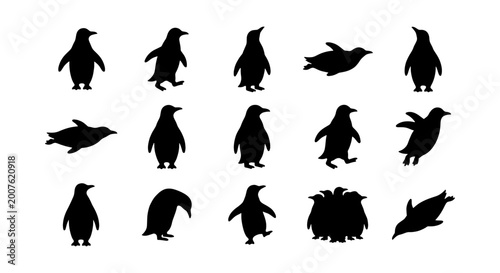 Tableau sur toile Penguin Silhouette Collection, 15 Vector Icons for Wildlife and Arctic Themes, B