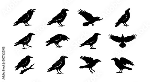 Quadro su tela Set of 12 Black Crow Silhouettes, Vector Icons for Gothic, Halloween, and Nature Designs