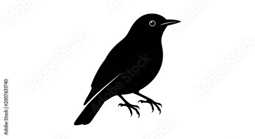 Black bird silhouette vector illustration on white background