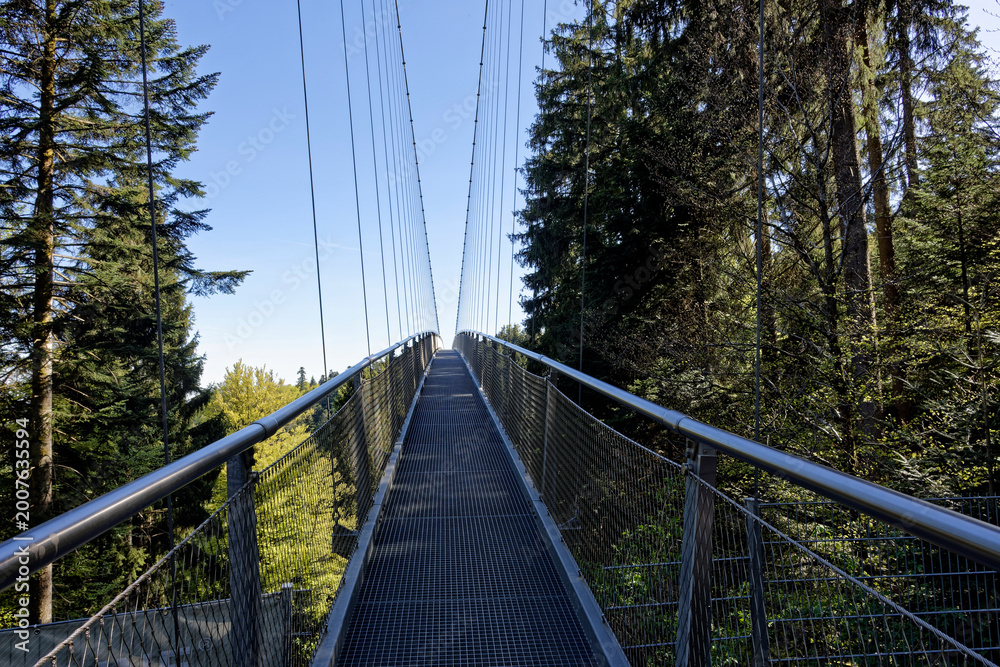 Fototapeta premium Wildline Suspension Bridge Over the Black Forest Valley in Bad Wildbad, Germany