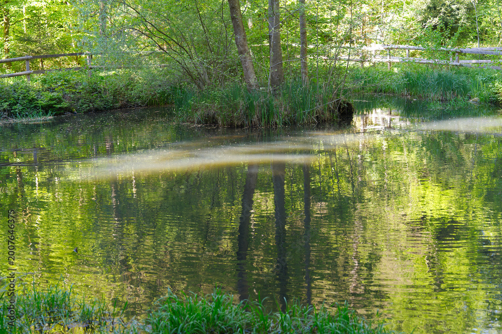 Obraz premium Idyllic scenery in the woods at Zürichberg mountain and pond with reflections at Swiss city of Zürich on a sunny spring morning. Photo taken April 30th, 2026, Zurich Schwamendingen, Switzerland.
