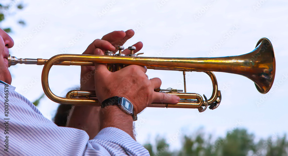 Fototapeta premium Musician plays trumpet at outdoor event during summer afternoon with audience in the background enjoying the performance
