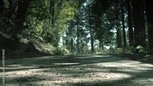 Low angle view of a sunlit gravel road in a Japanese forest