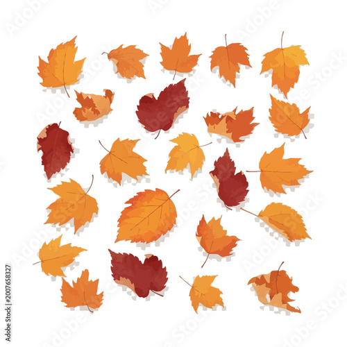 Vibrant Autumn Maple Leaves Set