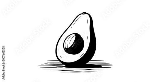 Hand drawn avocado half vector illustration on white background