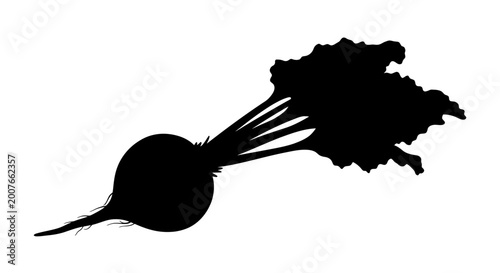 Beetroot Vegetable Silhouette with Leaves Vector Illustration
