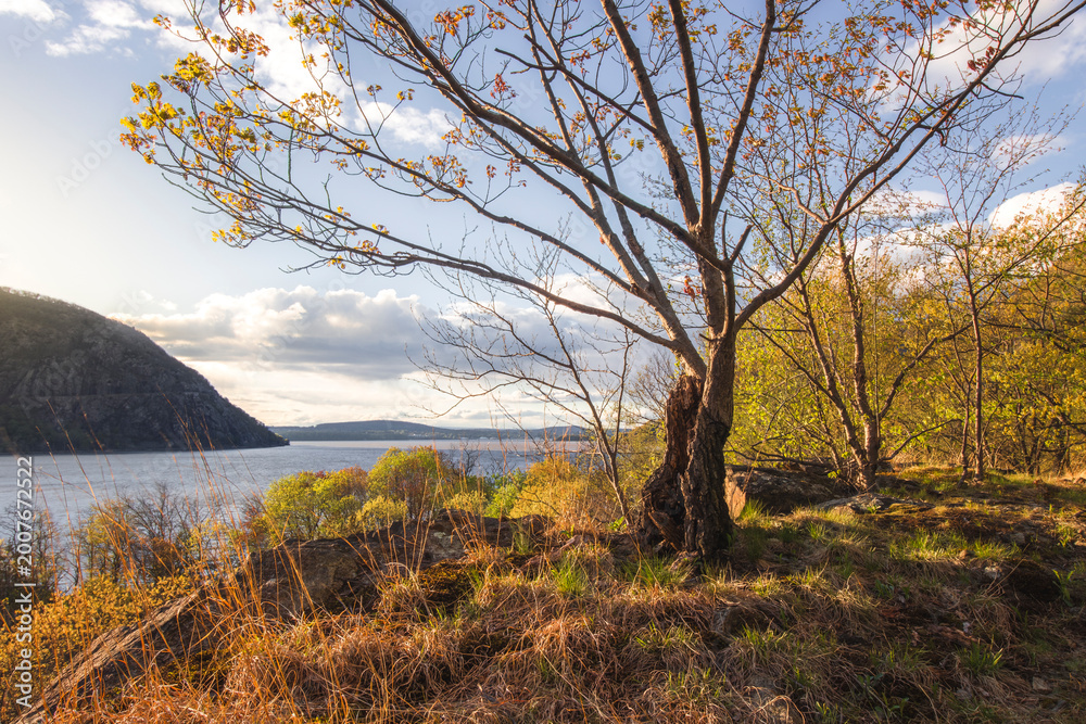 Fototapeta premium Hudson Valley Spring in Cold Spring NY