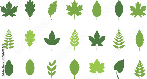 Large set of 21 flat vector silhouettes of various tree and plant leaves in green tones isolated on a white background.