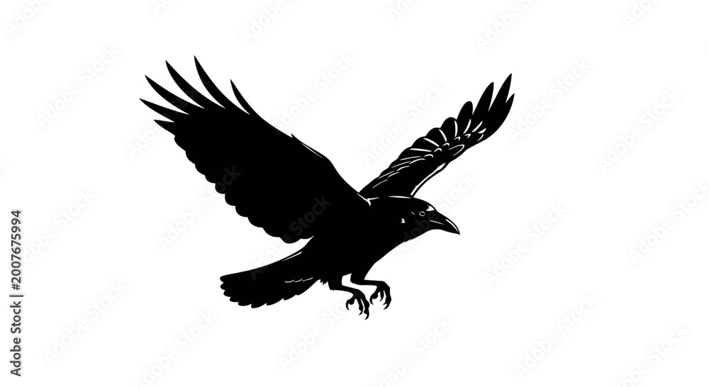 Fototapeta premium Black Crow or Raven Vector Illustration in Flight with Wings Spread