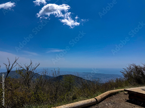 山頂からの絶景