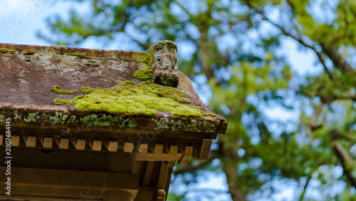 苔が映える建物の屋根
