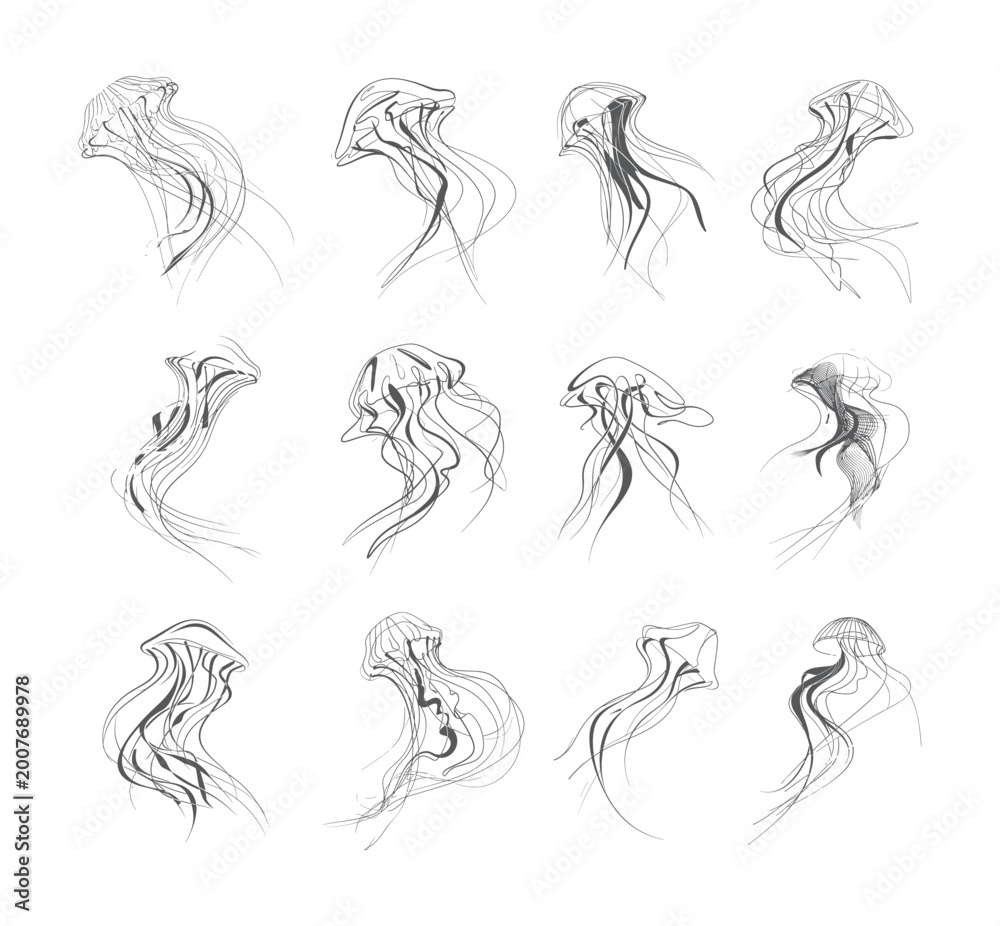 Obraz premium Set of Minimalist Black and White Jellyfish Illustrations with Elegant Flowing Tentacles and Artistic Lines