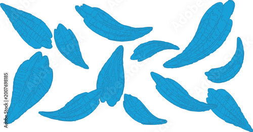 Slika na platnu Blue leaf silhouettes arranged in a scattered composition represent a modern and stylized approach to botanical illustration