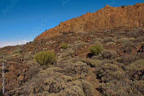 Obraz na płótnie large rock formation and shrubland in the mountains ofTeide national park, Canar