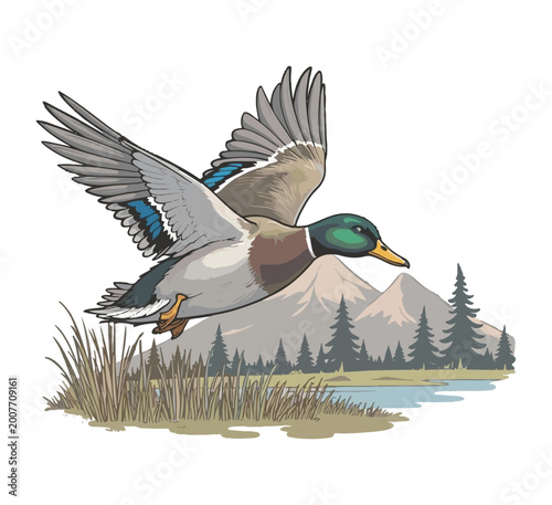 Flying Mallard Duck Over Mountain Lake Vector Illustration