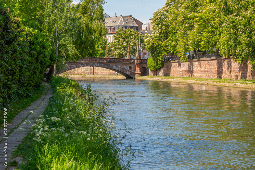 Fototapeta premium Randonnée au bord d'un canal de la ville de Strasbourg