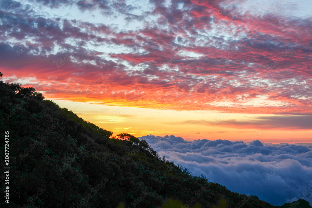 Fototapeta premium Sunset in Madeira where golden light meets the Atlantic and every moment feels like magic — nature, peace, and unforgettable views