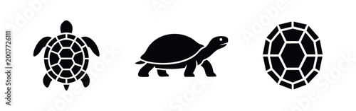 Fotografi Set of minimalist black turtle icons including sea turtle top view, walking tortoise profile, and geometric shell pattern on a white background