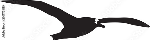 Картината върху платно Wandering albatross in silhouette.