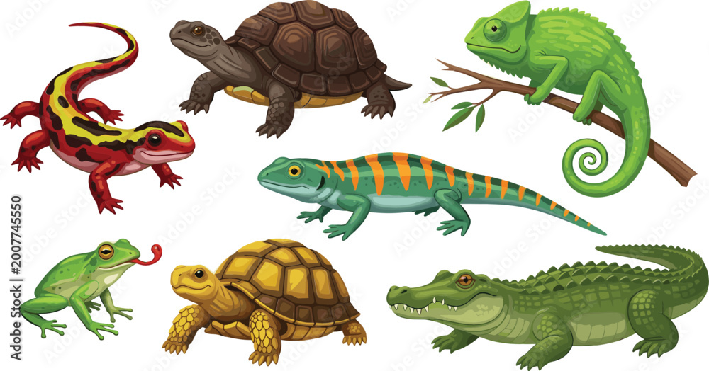 Fototapeta premium Reptiles and amphibians collection with lizard, turtle, chameleon, frog and crocodile, wildlife animal cartoon vector illustration set