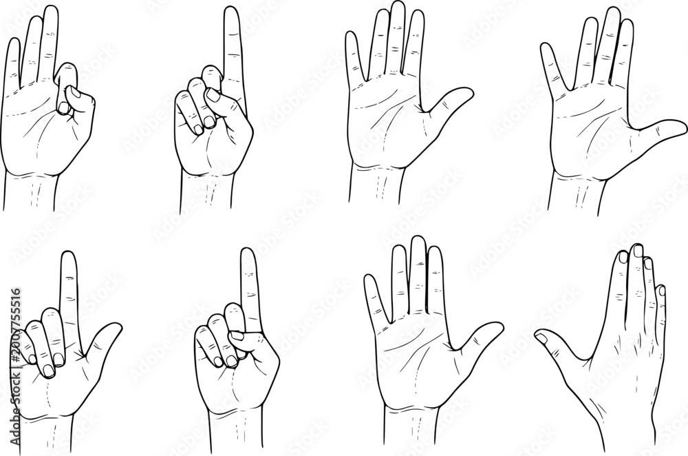 Fototapeta premium Collection of black and white line of human hands displaying various gestures and counts
