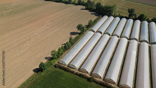 Cuadro en lienzo Greenhouse Farming Field: An aerial view showcases rows of modern greenhouses situated in a cultivated field, hinting at agricultural production and growth