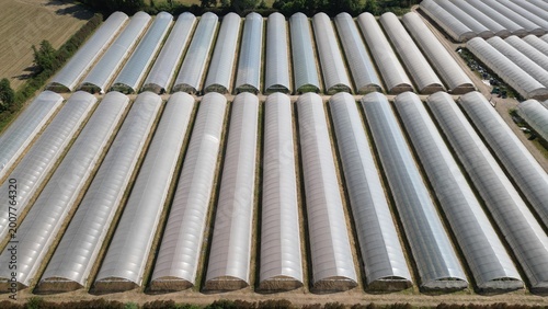 Canvastavla Greenhouse Farming Facility: An expansive aerial view reveals rows of agricultural greenhouses, showcasing modern farming techniques and crop production on a large scale