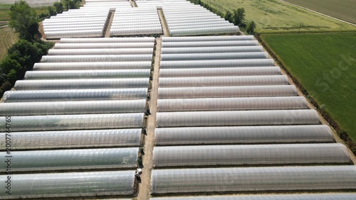 Fotografie An aerial view showcasing rows upon rows of agricultural greenhouses stretching across a vast landscape, symbolizing modern farming and cultivation