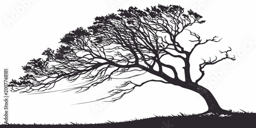 Bild auf Leinwand Stylized black and white graphic silhouette of a windswept tree on a simple terr