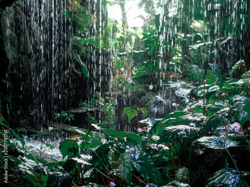 Foto Tropical rainforest with heavy rainfall and lush green plants