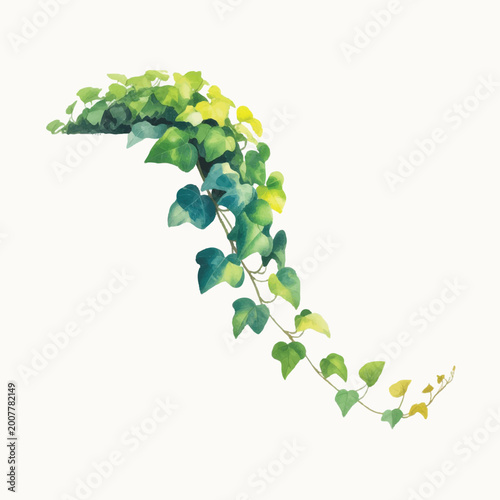 Graceful botanical watercolor painting featuring a vibrant green ivy vine, perfect for nature-inspired designs