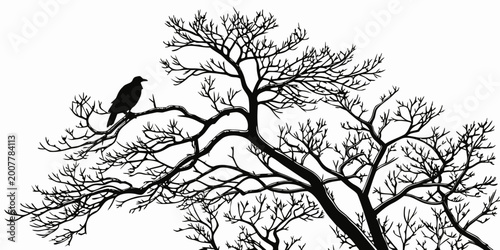 Obraz na płótnie Black silhouette of a bare deciduous tree with a dense network of leafless branc