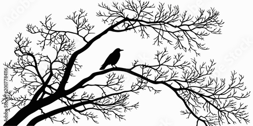 Tableau sur toile Black silhouette of a wide-spreading bare tree with an abundance of intricate le