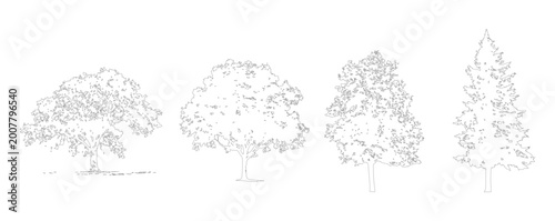 Vector set of trees in elevation view for use in architectural drawings