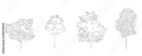 Vector set of trees in elevation view for use in architectural drawings