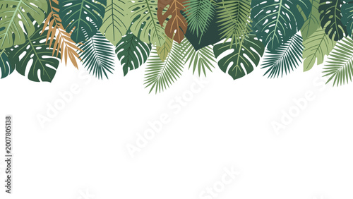 Lush border of various tropical green leaves including monstera and palm fronds for exotic nature themes and summer background designs.