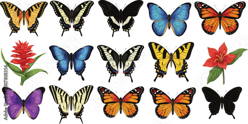Tableau sur toile Colorful butterfly vector collection with monarch swallowtail blue morpho and tropical flowers set isolated on white background for nature wildlife garden and spring season decorative designs