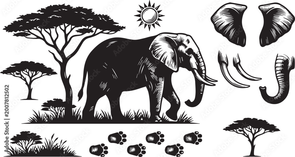 Fototapeta premium Elephant Safari Wildlife Vector Set African Animal Silhouette Nature Illustration