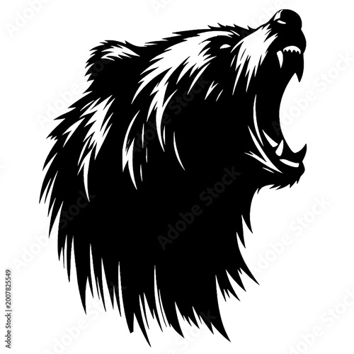 Angry wild bear