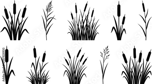 Φωτογραφία Black reeds and cattail grass silhouettes set isolated on white