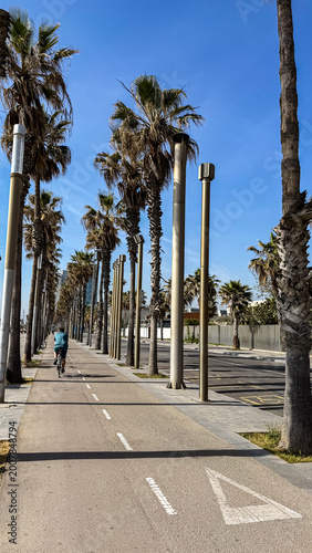 Tablou pe pânză Palm lined bicycle path on sunny seaside promenade with cyclist, urban coastal l