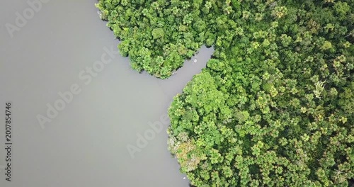 Top down aerial view of Amazon rainforest canopy with river near Iquitos Peru