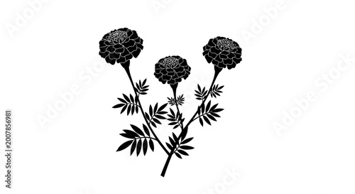Fotografía Black floral botanical illustration, thistle flowers, vector plants, decorative